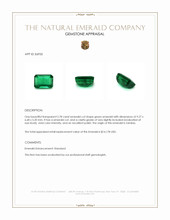 2.78 Ct. Emerald from Zambia Appraisal
