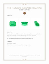 0.97 Ct. Emerald from Afghanistan Appraisal