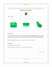 0.97 Ct. Emerald from Afghanistan Appraisal
