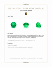 0.81 Ct. Emerald from Afghanistan Appraisal