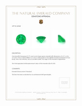 0.79 Ct. Emerald from Afghanistan Appraisal