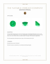 0.79 Ct. Emerald from Afghanistan Appraisal
