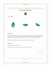 1.09 Ct. Emerald from Zambia Appraisal