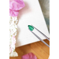 1.09 Ct. Emerald from Zambia Life Style