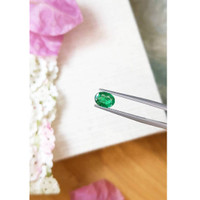 0.96 Ct. Emerald from Zambia Life Style