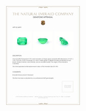 2.92 Ct. Emerald from Colombia Appraisal