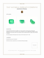8.72 Ct. Emerald from Colombia Appraisal