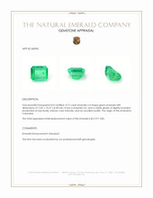 8.72 Ct. Emerald from Colombia Appraisal