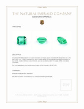 1.21 Ct. Emerald from Colombia Appraisal