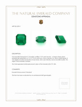 9.39 Ct. Emerald from Zambia Appraisal
