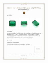 9.81 Ct. Emerald from Zambia Appraisal