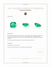 0.96 Ct. Emerald from Colombia Appraisal