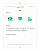 9.93 Ct. Emerald from Colombia Appraisal