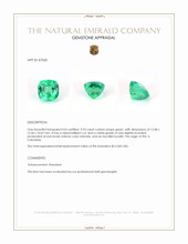 9.93 Ct. Emerald from Colombia Appraisal