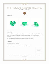 6.42 Ct. Emerald from Colombia Appraisal