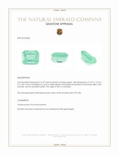 12.70 Ct. Emerald from Colombia Appraisal