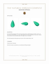 10.90 Ct. Emerald from Colombia Appraisal