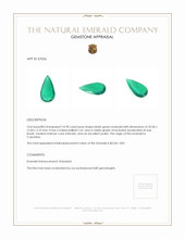 10.90 Ct. Emerald from Colombia Appraisal