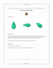 10.90 Ct. Emerald from Colombia Appraisal