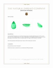 Jewelry Appraisal