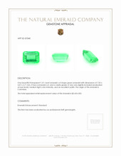 1.01 Ct. Emerald from Colombia Appraisal