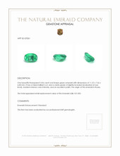 3.06 Ct. Emerald from Russia Appraisal