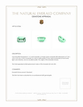 1.15 Ct. Emerald from Russia Appraisal
