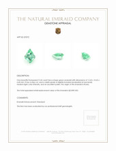 3.45 Ct. Emerald from Russia Appraisal
