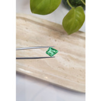 3.45 Ct. Emerald from Russia Life Style