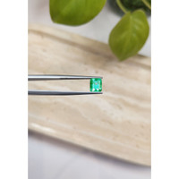 1.16 Ct. Emerald from Russia Life Style
