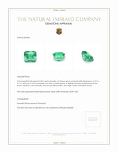 0.83 Ct. Emerald from Russia Appraisal