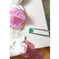 0.83 Ct. Emerald from Russia Life Style