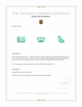 1.17 Ct. Emerald from Russia Appraisal