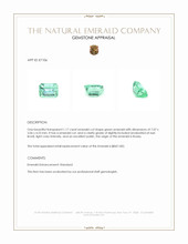 1.17 Ct. Emerald from Russia Appraisal