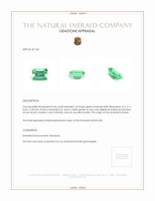 0.64 Ct. Emerald from Russia Appraisal