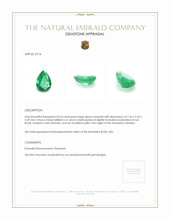 0.63 Ct. Emerald from Zambia Appraisal