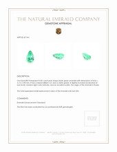 0.85 Ct. Emerald from Russia Appraisal