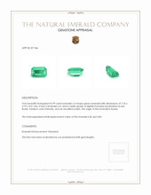 0.99 Ct. Emerald from Russia Appraisal