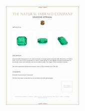 4.52 Ct. Emerald from Zambia Appraisal