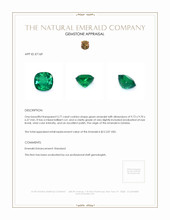 3.77 Ct. Emerald from Zambia Appraisal