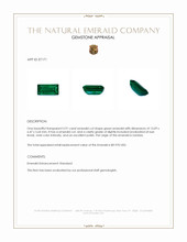 3.91 Ct. Emerald from Zambia Appraisal