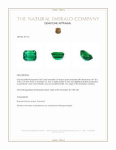 2.82 Ct. Emerald from Zambia Appraisal
