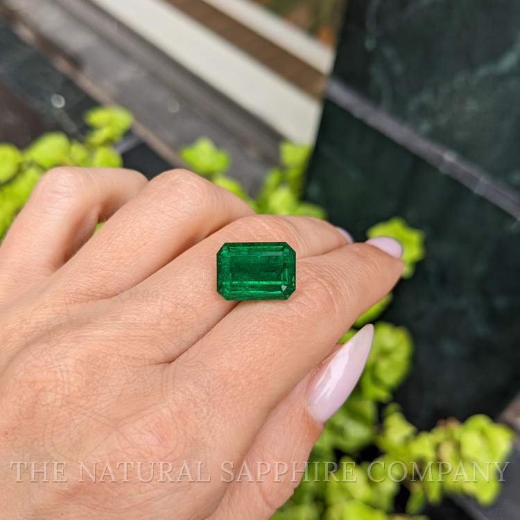 9.20 Ct. Emerald from Zambia