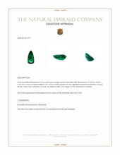 6.63 Ct. Emerald from Zambia Appraisal