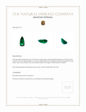 6.63 Ct. Emerald from Zambia Appraisal