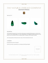 6.63 Ct. Emerald from Zambia Appraisal