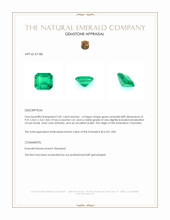 2.81 Ct. Emerald from Colombia Appraisal