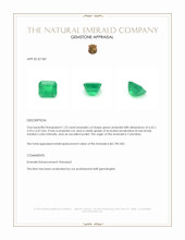 1.23 Ct. Emerald from Colombia Appraisal