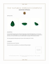 3.23 Ct. Emerald from Zambia Appraisal