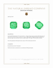 3.70 Ct. Emerald from Zambia Appraisal
